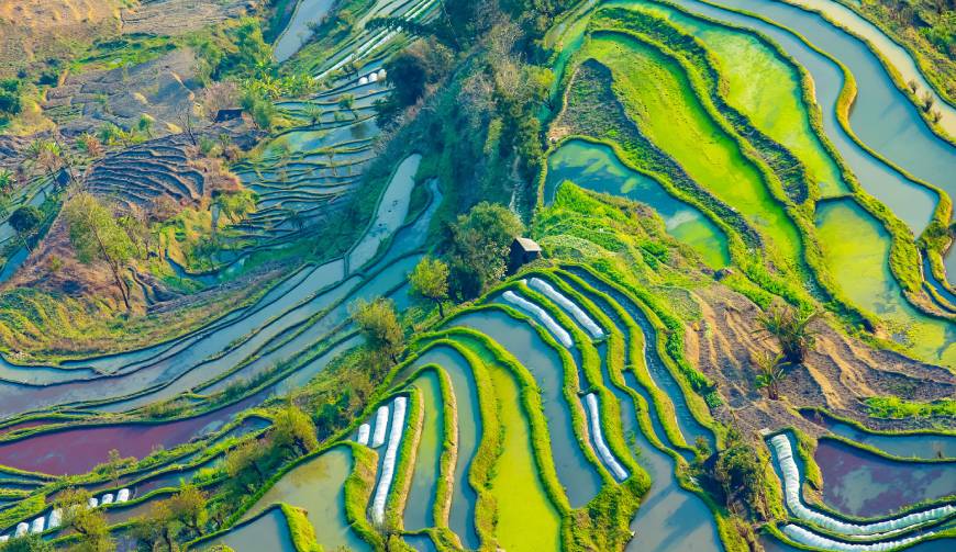 走进温县TVC拍摄：解锁本地化场景与创意镜头的完美融合